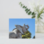 Carte Postale Statue d'éléphant devant le musée d'Orsay à Paris (Debout devant)