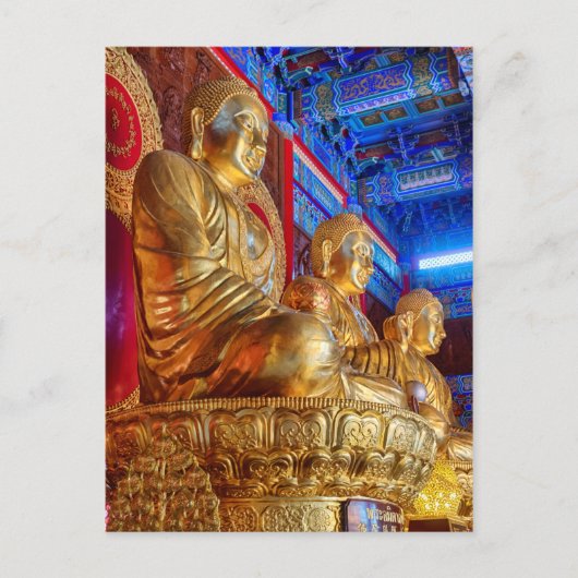 Carte Postale statue d'image de Bouddha thaïlandais chinois (Devant)