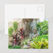 Carte Postale Statue du Bouddha dans le jardin (Devant / Derrière)