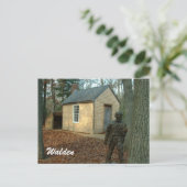 Carte Postale Statue et cabine de Thoreau (Debout devant)