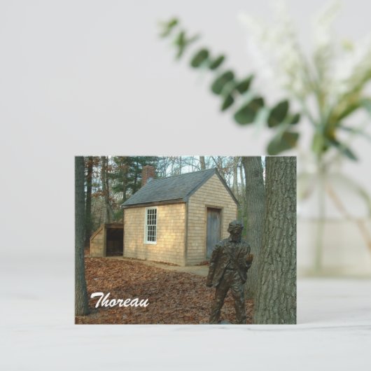 Carte Postale Statue et cabine de Thoreau (Debout devant)
