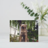 Carte Postale statue hachiko shibuya (Debout devant)