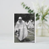 Carte Postale Statut des anciens combattants du mémorial de guer (Debout devant)