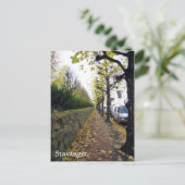 Carte Postale Stavanger, Norvège (Debout devant)