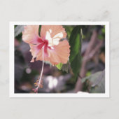 CARTE POSTALE STC_0027 (Devant)