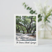 Carte Postale Ste Simons GA Wandering Oak Tree (Debout devant)