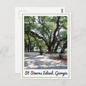 Carte Postale Ste Simons GA Wandering Oak Tree (Devant / Derrière)