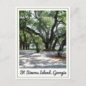 Carte Postale Ste Simons GA Wandering Oak Tree (Devant)
