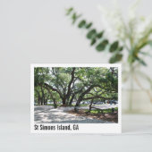 Carte Postale Ste Simons GA Wandering Oak Tree (Debout devant)
