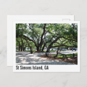 Carte Postale Ste Simons GA Wandering Oak Tree (Devant / Derrière)