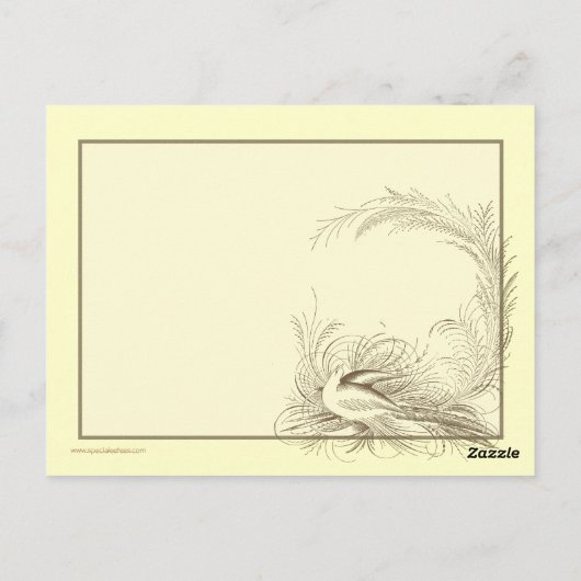 Carte postale Steampunk Dirigible Air Tour (Dos)