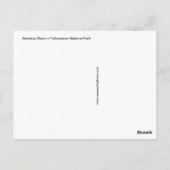 Carte postale Steamy Bison (Dos)