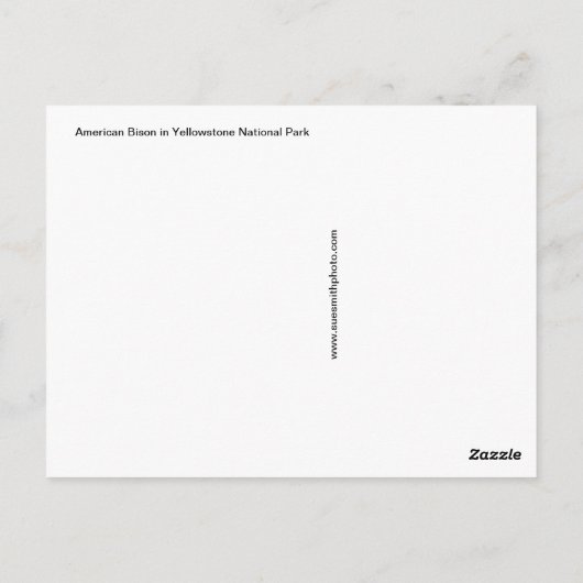 Carte postale Steamy Bison (Dos)