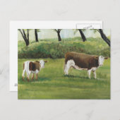 Carte postale Steer and Calf Art (Devant / Derrière)