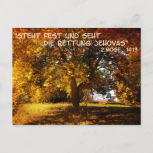 Carte Postale Steht fest und sehdie Rettung