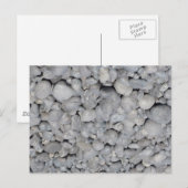 Carte Postale Stein (Devant / Derrière)