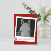 Carte Postale Stella (Debout devant)