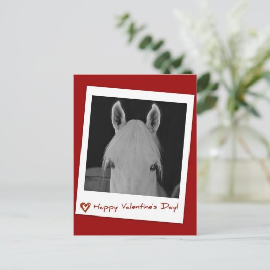 Carte Postale Stella (Debout devant)