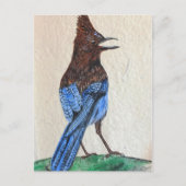 Carte Postale "Stellaire" (Devant)