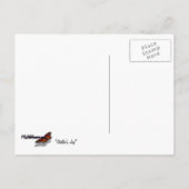 Carte Postale Steller's Jay dans le parc national de Yosemite (Dos)