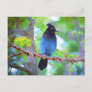 Carte Postale Steller's Jay Painting - Art original pour oiseaux