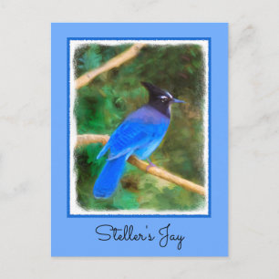 Carte Postale Steller's Jay Painting - Art original pour oiseaux