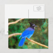 Carte Postale Steller's Jay Painting - Art original pour oiseaux (Devant / Derrière)