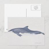 Carte Postale Steno (Devant / Derrière)