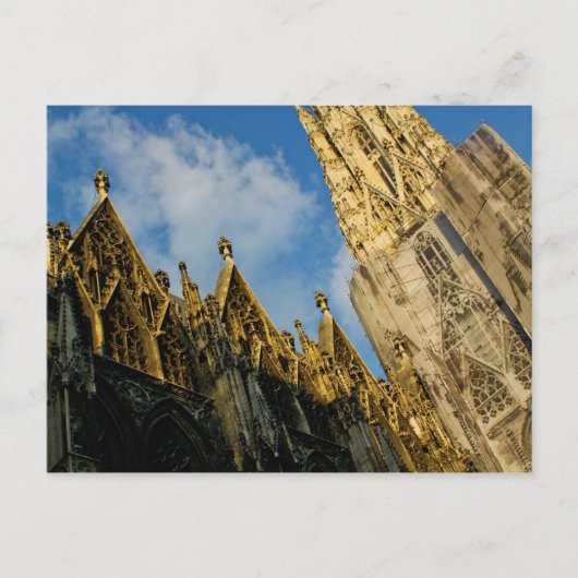 Carte Postale Stephansdom (Devant)