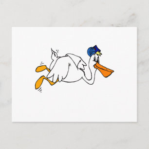 Carte Postale Steve Stork