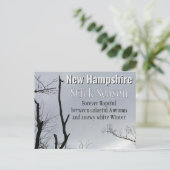 Carte Postale Stick New Hampshire Saison Nouvelle-Angleterre Pho (Debout devant)
