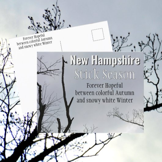 Carte Postale Stick New Hampshire Saison Nouvelle-Angleterre Pho