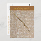 Carte postale Stick Walking (Devant / Derrière)