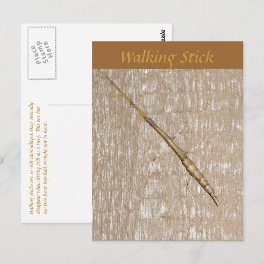 Carte postale Stick Walking (Devant / Derrière)