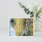 Carte Postale Stickle Tarn réflexions estivales, Lake District. (Debout devant)