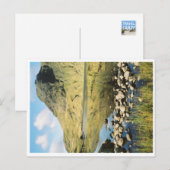 Carte Postale Stickle Tarn réflexions estivales, Lake District. (Devant / Derrière)