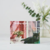 Carte Postale Still Life Penser à vous (Debout devant)