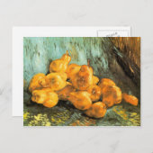 Carte Postale Still Life with Quinces par Vincent Willem van Gog (Devant / Derrière)