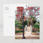 Carte Postale Stone Bridge City Park Nouvelle-Orléans (Devant / Derrière)