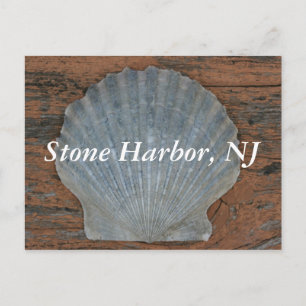 Carte postale Stone Harbour Scallop Shell