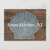 Carte postale Stone Harbour Scallop Shell (Devant)
