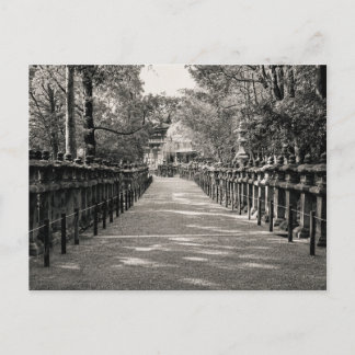 Carte Postale Stone Lantern Path at a Japanese Shrine – Black an