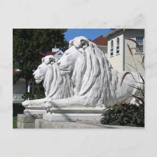 Carte postale Stone Lions (Devant)