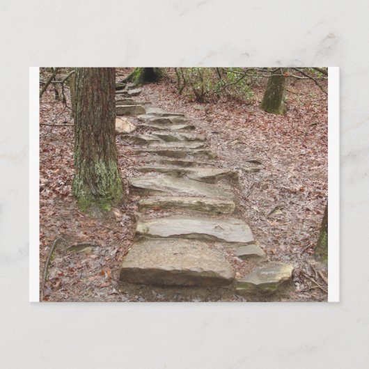 Carte Postale Stone Stair Path à Fall Creek Falls, TN (Devant)