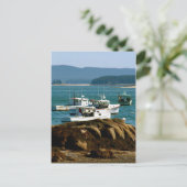 Carte postale Stonington, Maine (Debout devant)