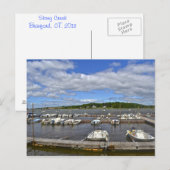 Carte postale Stony Creek Marina (Devant / Derrière)