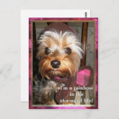 Carte postale Stores de vie (Devant / Derrière)