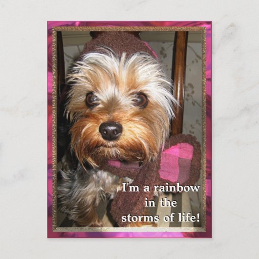 Carte postale Stores de vie (Devant)