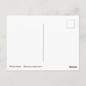 Carte Postale Stores en bois (Dos)