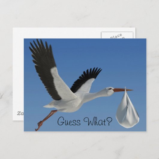 Carte Postale Stork avec Baby Bundle (Devant / Derrière)